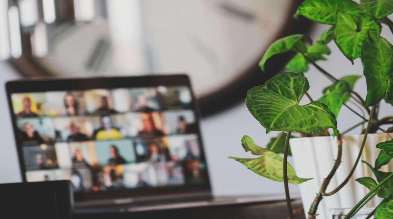 Remote Conference Participation
